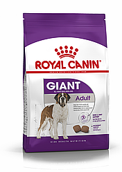 Royal Canin Giant Adult 15 кг Сухой корм для взрослых собак очень крупных размеров более 45 кг