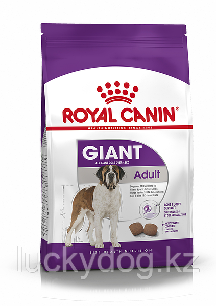 Giant adult sales