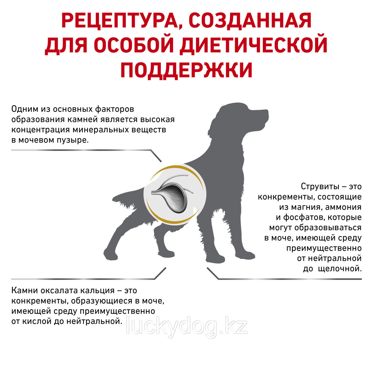 Royal Canin Urinary S/O (2кг) Сухой корм для собак при мочекаменной болезни, 2 кг - фото 2 - id-p3539439