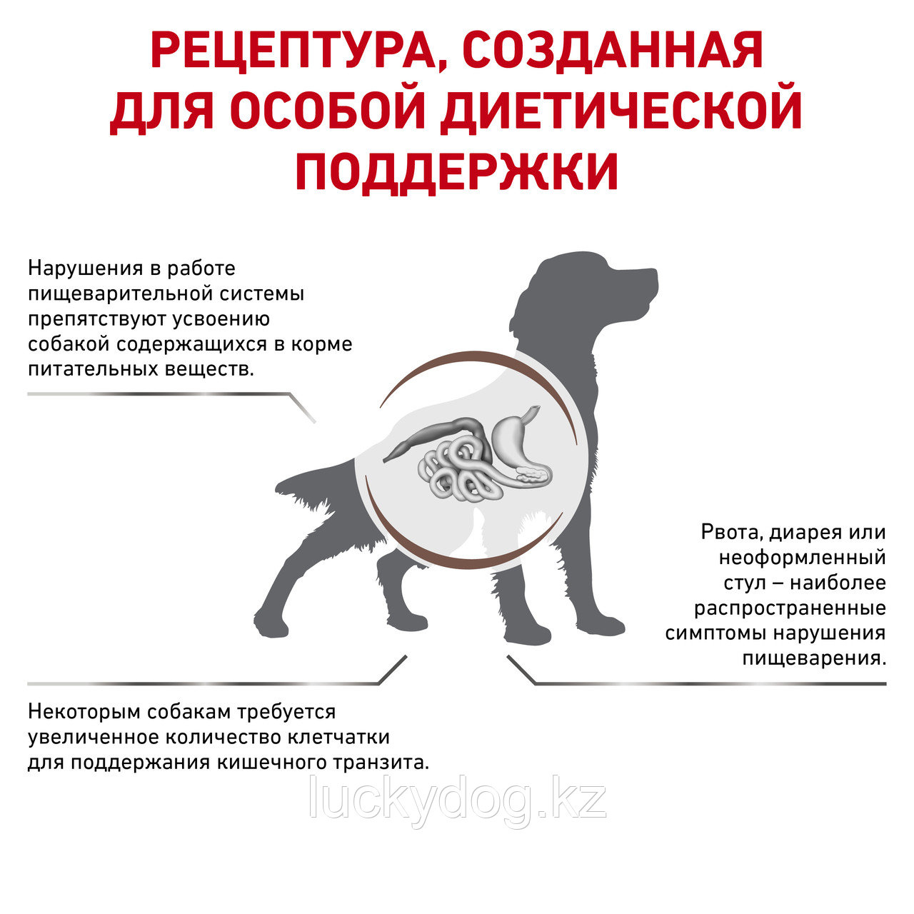 Royal Canin Gastrointestinal High Fibre (Fibre Response) Сухой корм при нарушении пищеварения, 14 кг - фото 3 - id-p3539448