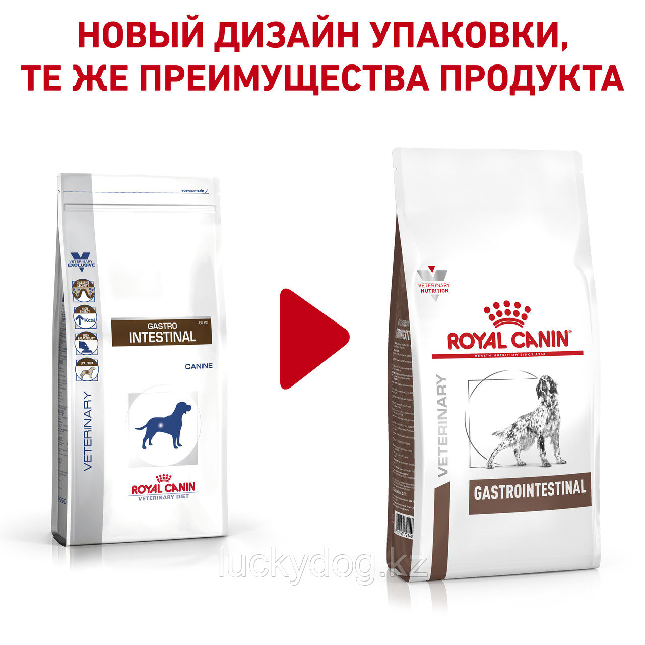 Royal Canin GastroIntestinal, 2 кг, Сухой корм для собак при нарушении пищеварения - фото 2 - id-p3539471
