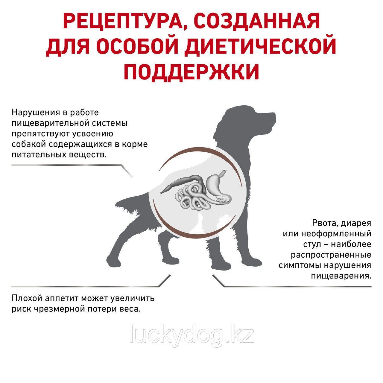 Royal Canin GastroIntestinal, 2 кг, Сухой корм для собак при нарушении пищеварения - фото 3 - id-p3539471