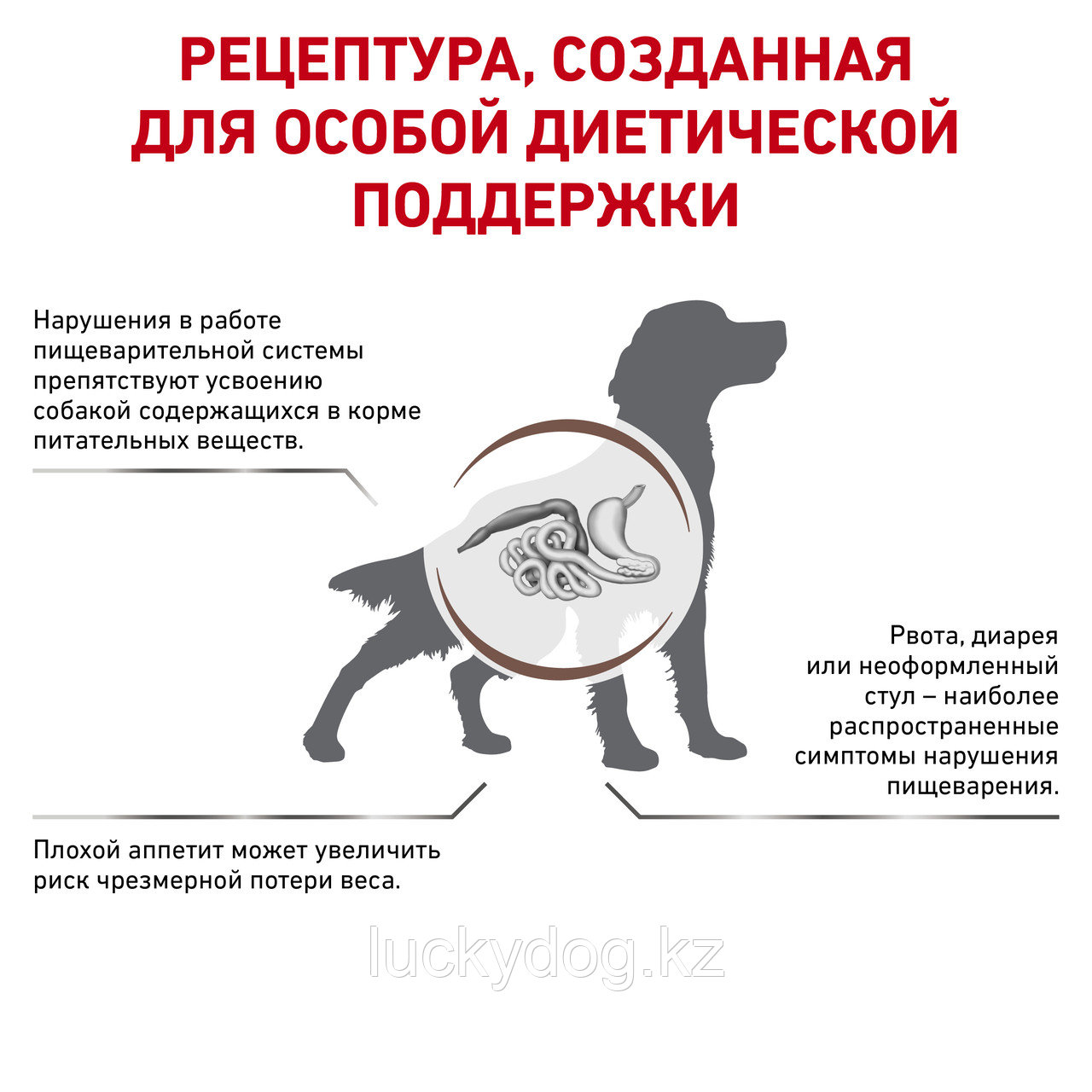 Royal Canin GastroIntestinal, 15кг, Сухой корм для собак при нарушении пищеварения - фото 3 - id-p3539472