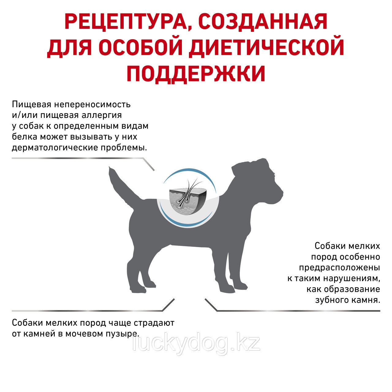 Royal Canin Hypoallergenic Small Dog (1кг) Корм для собак мелких пород при пищевой аллергии - фото 3 - id-p10217493