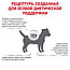 Royal Canin Hypoallergenic Small Dog (1кг) Корм для собак мелких пород при пищевой аллергии, фото 3