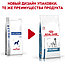 Royal Canin Anallergenic 8 кг Сухой корм для собак при пищевой аллергии,  Роял Канин, фото 2