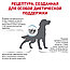 Royal Canin Sensitivity Control (14кг) Роял Канин сухой корм для собак при пищевой аллергии, фото 3
