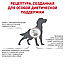 Royal Canin Hepatic (12 кг) Роял Канин сухой корм для собак при заболеваниях печени, фото 3