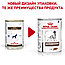 Royal Canin GastroIntestinal  (при нарушениях пищеварения) 410 гр, фото 2