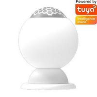 Датчик движения Ritmix SDT-200 Tuya белый TAK25552 Датчик движения Ritmix SDT-200 Tuya белый