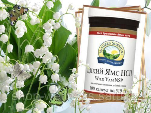 Дикий Ямс Для Женщин Нсп Купить