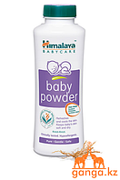 Балаларға арналған Ветивер (Herbal Baby Powder HIMALAYA) ұнтағы, 100 гр