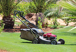 Көгалшапқыштар мен қайшылар