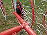 Грабли-ворошилки 5-колесные навесные ГВН-5 "D-Pol" Беларусь, фото 9