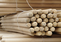 Қалемшелер, саптар