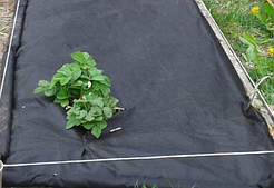 Үлдірлер, жабын материалдары