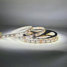 Лента светодиодная CW(CCT) ТЕПЛ/ХОЛ 2835 60/м 8мм 12V/7,2W 2x5м 2700-6500К РЕГУЛИРУЕМАЯ IP20 (кратно, фото 2