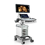 Цифровая ультразвуковая диагностическая система DC-40, фото 4
