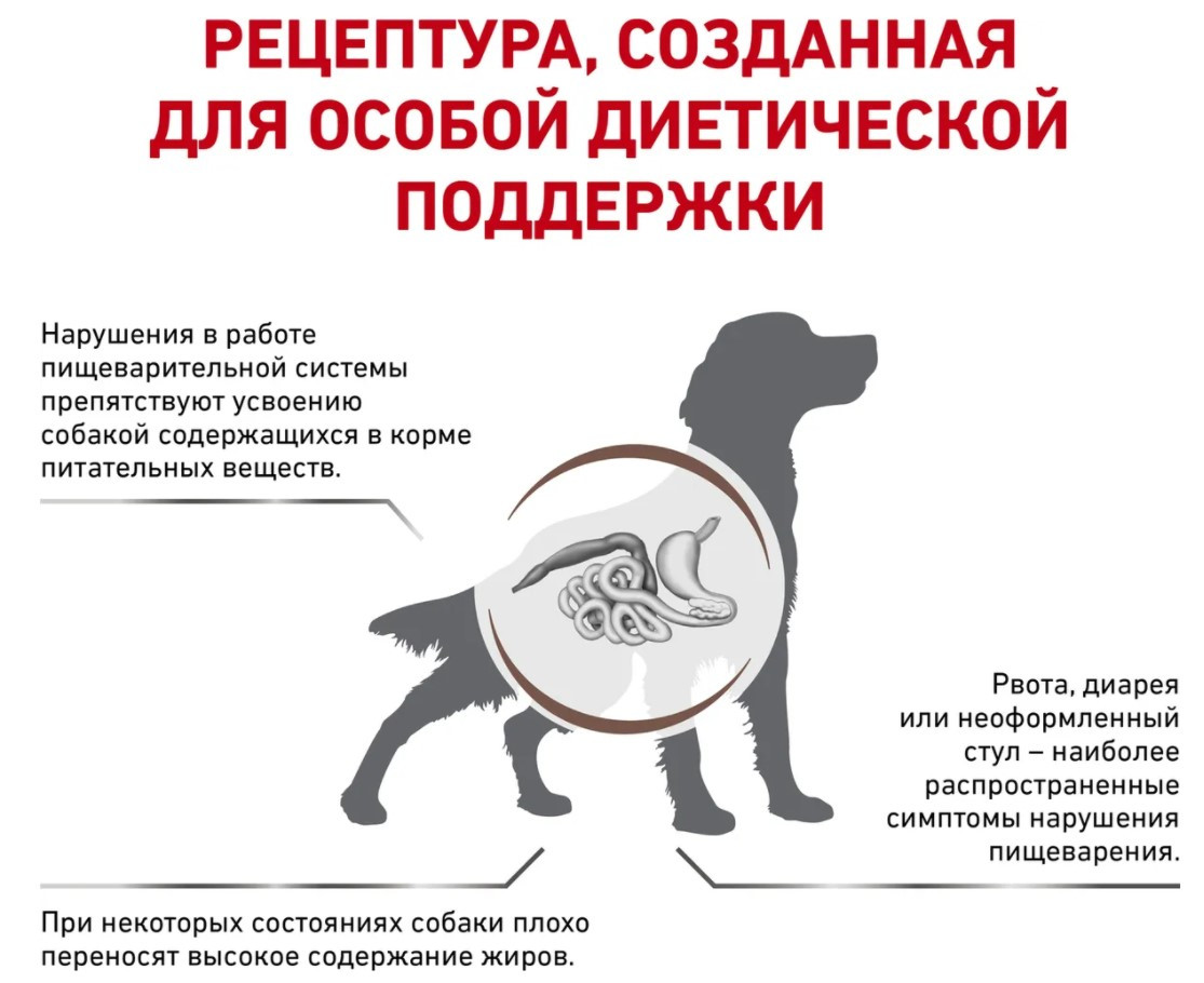 Royal Canin Gastrointestinal сухой корм для собак 2 кг - фото 4 - id-p98384873