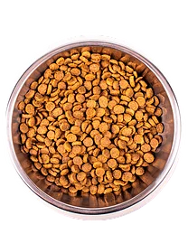 Monge ADULT на РАЗВЕС (цена за 1 кг) с Курицей Сухой корм для взрослых кошек