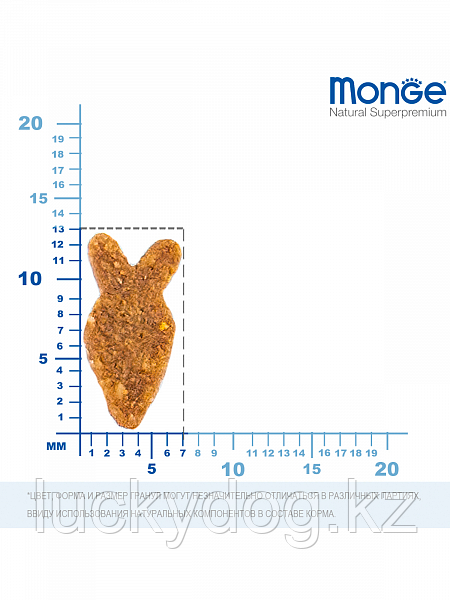 Monge Adult На РАЗВЕС (цена за 1 кг) Лосось Сухой корм для для кошек Monoprotein Salmon - фото 2 - id-p98393943