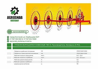 Грабли-ворошилки 5-колесные навесные ГВН-5 "D-Pol" Беларусь