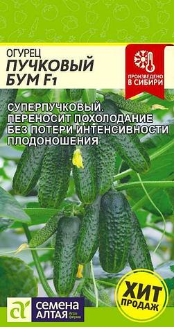 Семена Огурцов "Пучковый Бум F1" Семена Алтая, фото 2