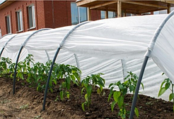 Жылыжайлар, жылыжайлар