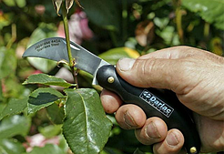 Бақша пышақтары