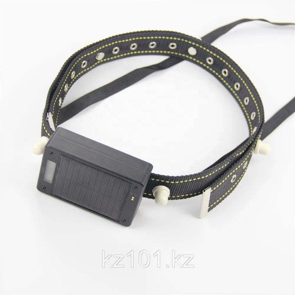 GPS-трекер на солнечной батарее для крупного рогатого скота GT-15