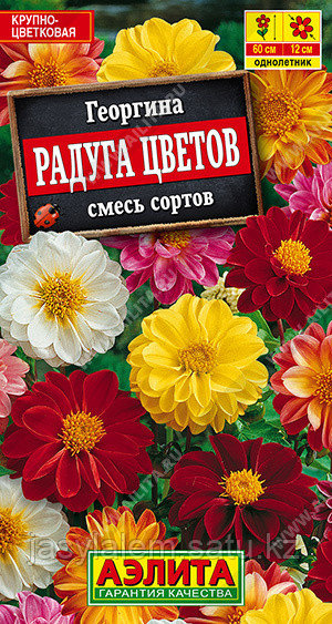 Георгина махровая Радуга цветов, смесь сортов - фото 1 - id-p98498141