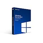 Программное обеспечение Win Svr Essentials 2019 64Bit Russian 1pk DSP OEI DVD (G3S-01308-1-2CPU )