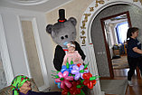 1 жас с мишками Тедди в Павлодаре, фото 5