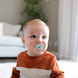 Пустышка силиконовая ортодонтическая, ночная Dr. Brown's, 6-18 мес, с защитным колпачком, 2 шт, фото 4