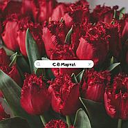 Поздравляем с 8 марта!