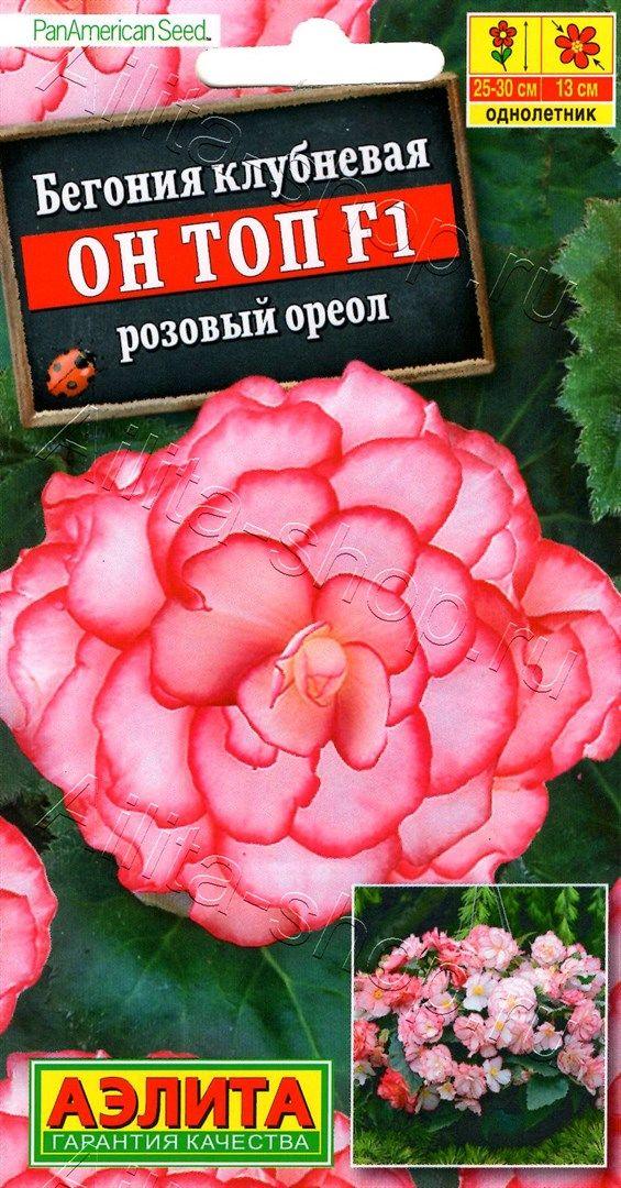 Семена Бегонии "Он Топ F1 розовый ореол" Аэлита - фото 1 - id-p98574661