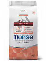 Monge Mini Adult SALMONE 2,5кг с лососем и рисом Сухой корм для взрослых собак мелких пород