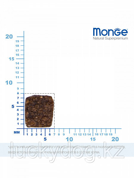 Monge Mini Adult SALMONE 15кг с Лососем и рисом Сухой корм для взрослых собак мелких пород - фото 3 - id-p61478631