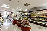 Бизнес в сфере торговли, общепит, услуги, развлечения, фото 3