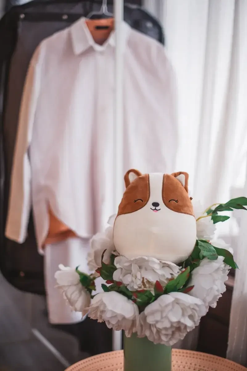 Сквишмэллоус Корги Регина, 20см, TM Squishmallows
