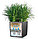 Горшок цветочный с автополивом LECHUZA Cube cottage 50 белый - 50*50*50 см, фото 8