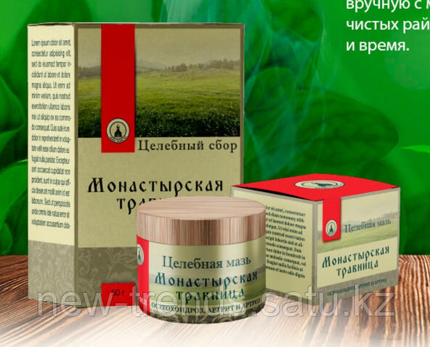 Целебная мазь Монастырская травница от остеохондроза (id 98653971)