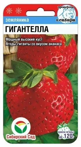 Земляника Гигантелла (Сиб Сад), фото 1