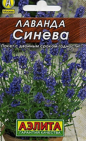 Семена Лаванды "Синева" Аэлита, фото 1