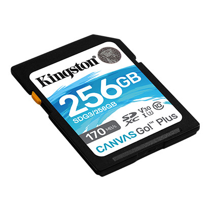 Kingston SDG3/256GB карта памяти SD 256GB U3 V30 Canvas Go! Plus, фото 1