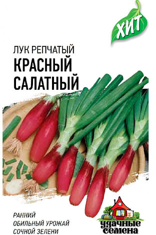 Семена Лука репчатого "Красный салатный" Гавриш, фото 2