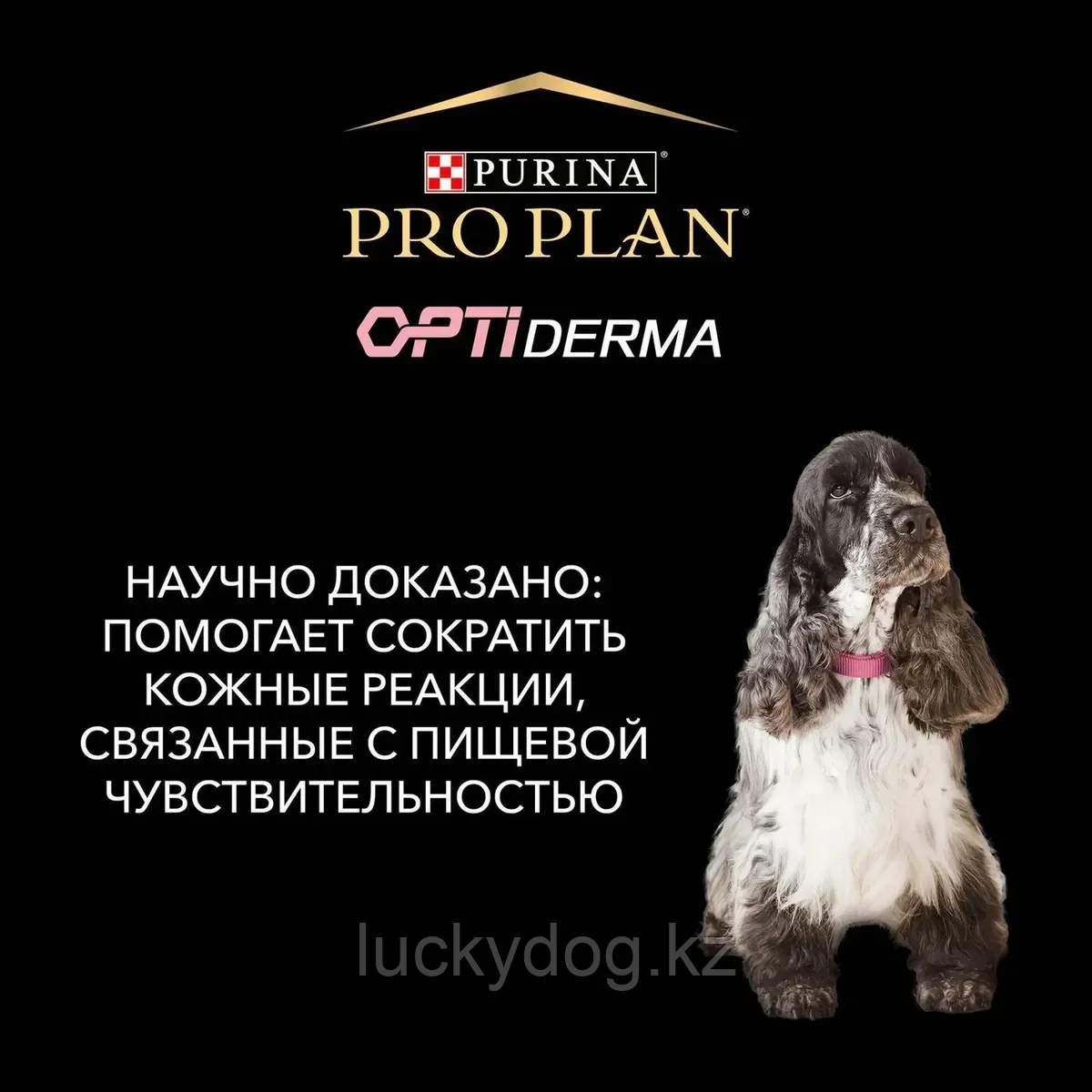 Pro Plan 14кг с Лососем для средних пород сухой корм для взрослых собак Adult Medium Sensitive Skin - фото 3 - id-p3548838