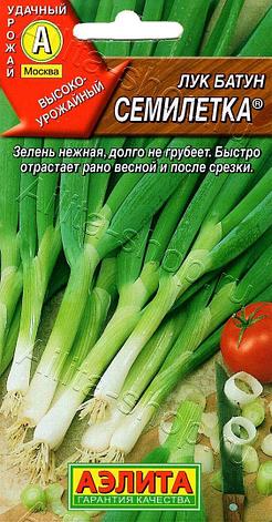 Семена Лука батуна "Семилетка" Аэлита, фото 1