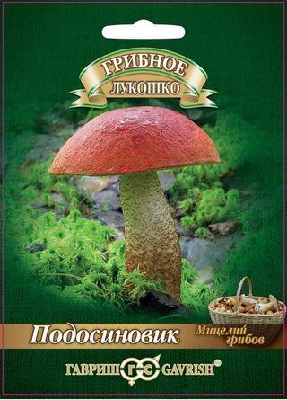 Мицелий грибов "Подосиновик" Гавриш