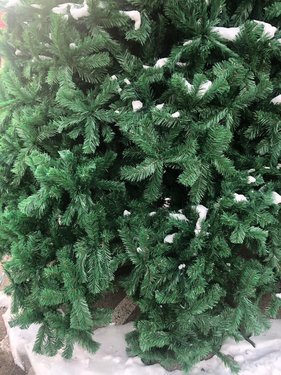 Сексуалды жопа ит стилі